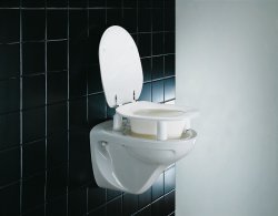 Dania Toilet Seat With Cover - 100mm (4") With Cover :: Sports Supports