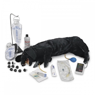 Life/Form Advanced Sanitary CPR Dog Manikin