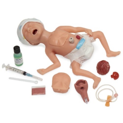 Life/Form Micro Preemie Intubation Simulator (Light)
