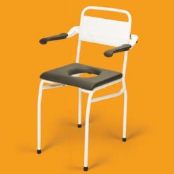 Linido Shower and Toilet Chair