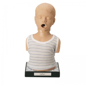 Child Lung and Heart Auscultation Trainer