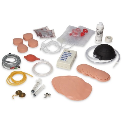 Simulaids STAT Manikin with Deluxe Airway Management Head