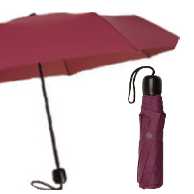Ziggy Mini Compact Folding Travel Umbrella (Rich Burgundy)