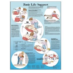 Basic Life Support Chart