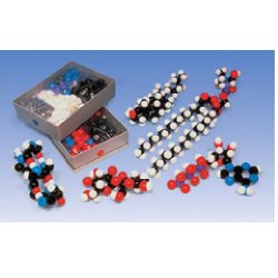 Biochemistry Teacher Set - Compact Models