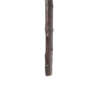 Blackthorn Wood Pistol Grip Cane