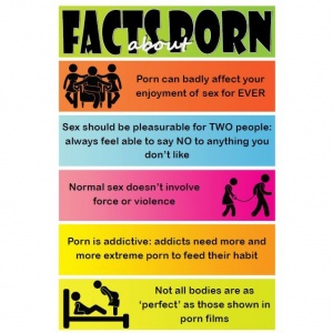 Facts About Porn Educational Poster (Pack of 5)