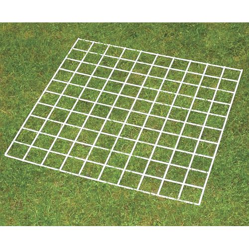 Floor Grid Quadrat 100 Squares