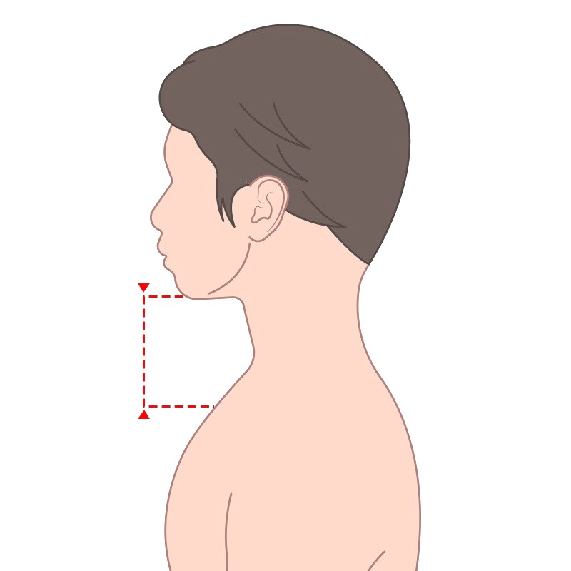 neck measurement diagram