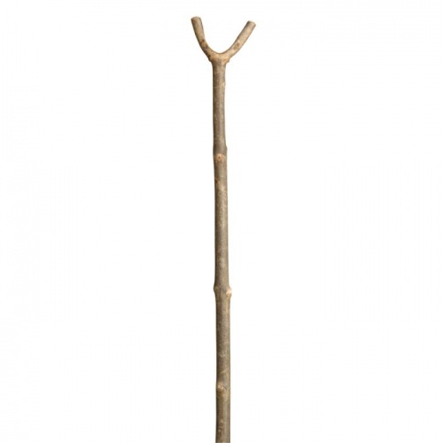 Junior Thumbstick Childrens Walking Stick Sports Supports Mobility