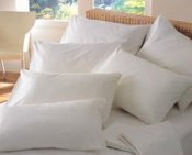 Anti-Allergy Pillows