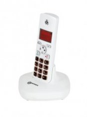 My DECT 100