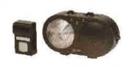Telephone Ring Indicator & Remote Doorbell