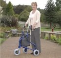 Standard Tri Walker