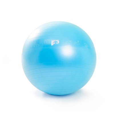 Ultimate Performance Medium Exercise Ball with Pump (65cm)