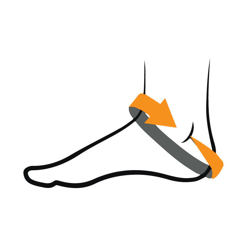 Ankle Circumference Diagram