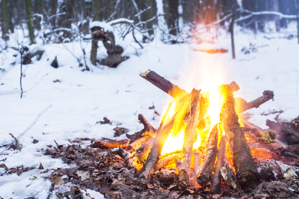 How to Survive Winter 2020 How to Survive Winter 2020