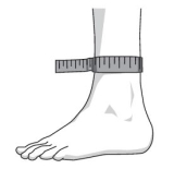 Measurement Diagram for the MalleoTrain Ankle Support