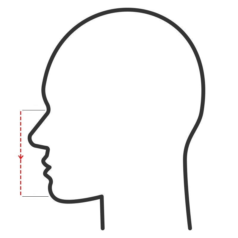 Moldex 7000 Series Face Masks Measurement Guide