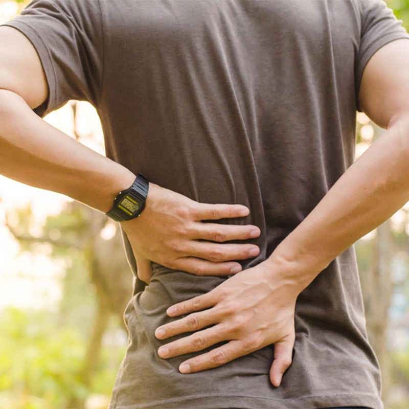 Best Lumbar Supports 2022