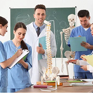 Best Rudiger Anatomical Models for Medical Students
