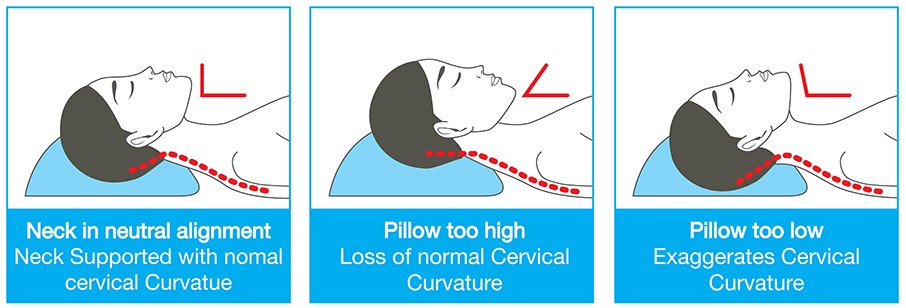 Correct Back Sleeping Alignment