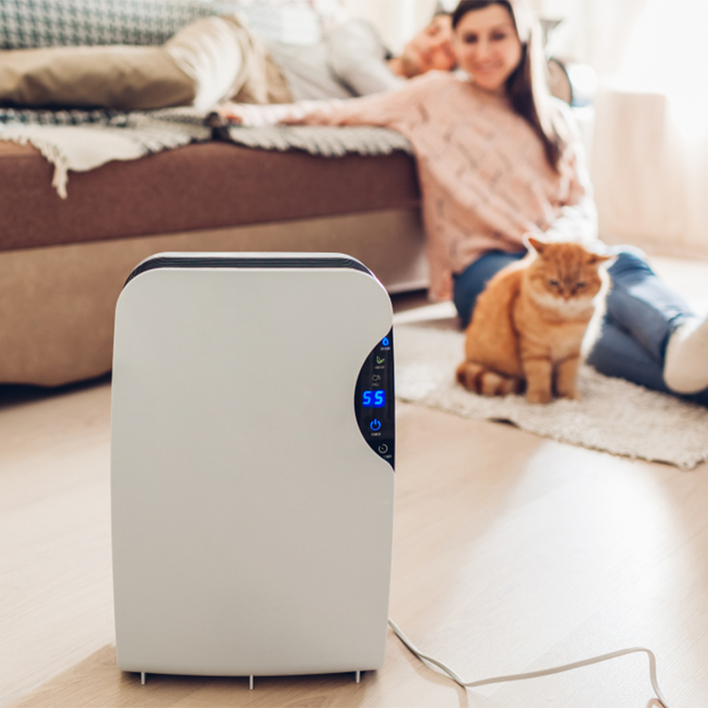 Do Air Purifiers Work?