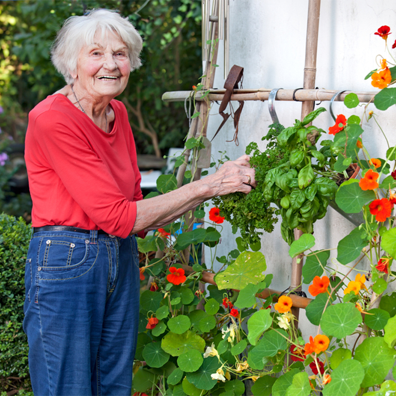 Garden Tools For People With Arthritis Jardineer Garden Tools Set