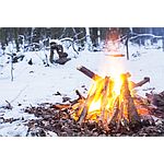 How to Survive Winter 2020