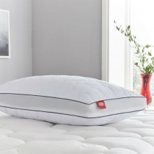 Sealy Memory Foam Airflow Pillow