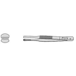 Alder Creutz Dissecting Forceps With 5 Into 6 Teeth 250mm Straight