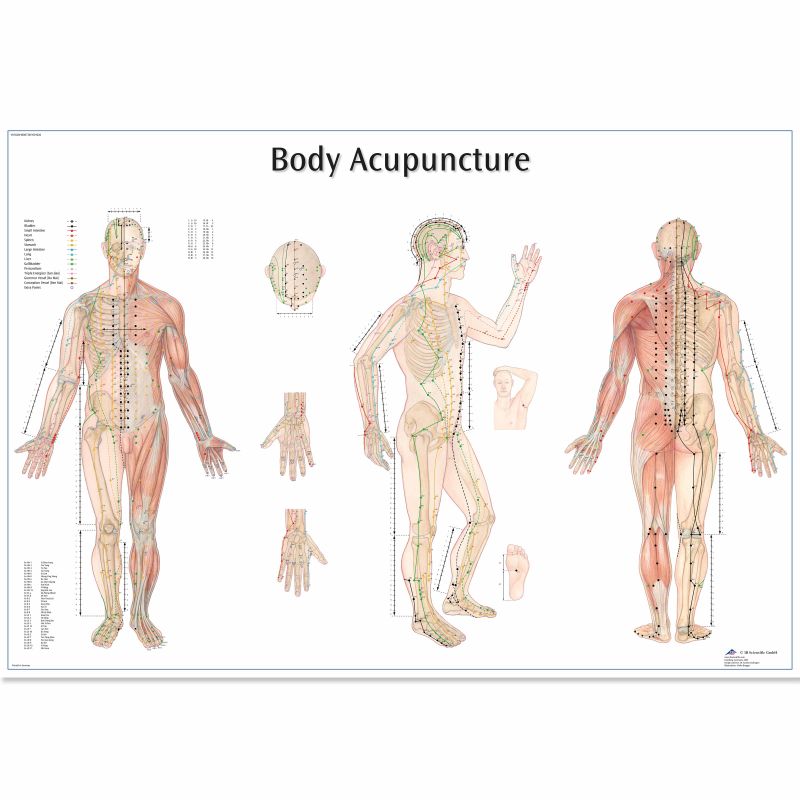 Body Acupuncture Chart | Health and Care