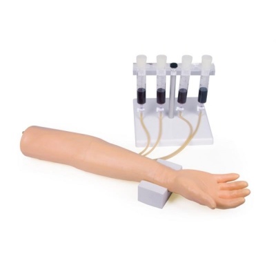Intravenous Injection and Infusion Training Arm