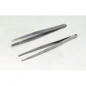 Forceps, Stainless Steel Fine Point (Pack of 10)