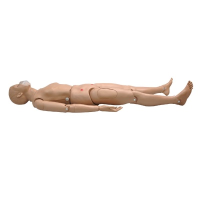 CPR Simon BLS Full-Body CPR Manikin with Venous Sites