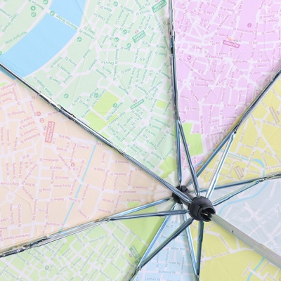 Fulton Brollymap Foldable Umbrella