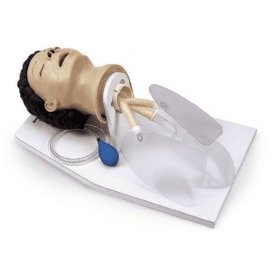 Life/Form Adult Airway Management Trainer with Stand