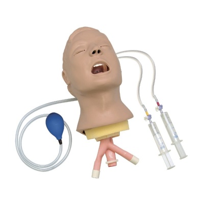 Life/Form Advanced Airway Trainer Head (Larry)