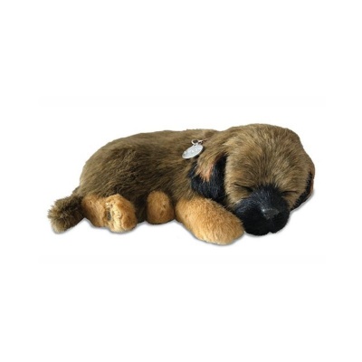 Precious Petzzz Border Terrier Battery Operated Toy Dog