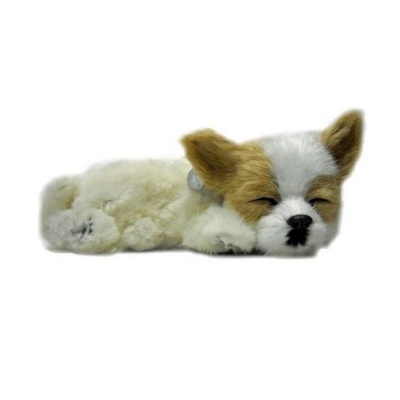 Precious Petzzz Chihuahua Battery Operated Toy Dog