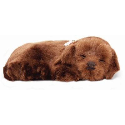Precious Petzzz Chocolate Labrador Battery Operated Toy Dog