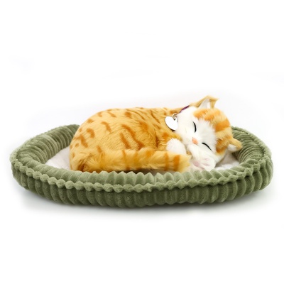 Cat Perfect Petzzz Wholesale Perfect Petzzz Weiche Rotgetigerte