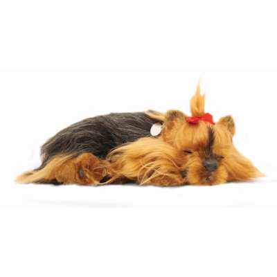 Precious Petzzz Yorkshire Terrier Battery Operated Toy Dog