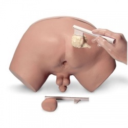 Prostate Examination Simulator
