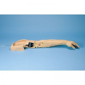 Training Arm for Intravenous Injection