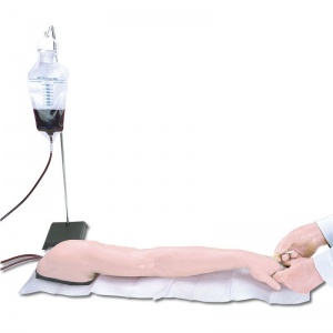 Training Arm for Intravenous Injection
