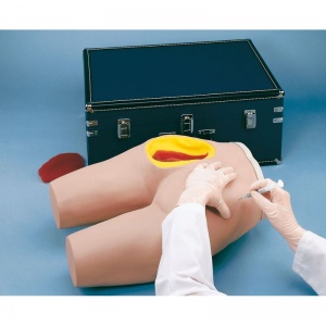 Intramuscular Injection Trainer Model
