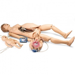 Noelle Maternal and Neonatal Birthing Simulator