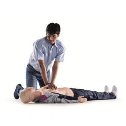 Laerdal Resusci Anne QCPR AED Mannequin (Torso in Carry Bag)