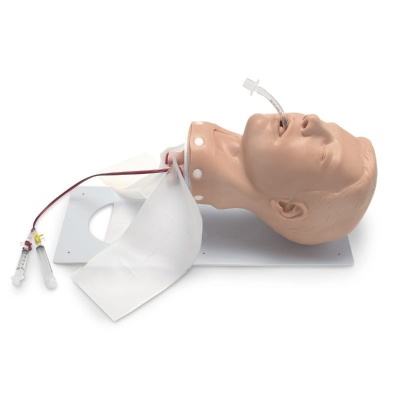 Simulaids Deluxe Adult Airway Management Head Trainer with Board